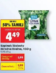 Szpinak liściasty Mroźna Kraina