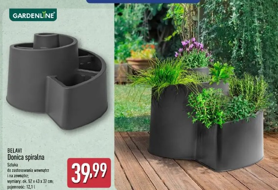 Belavi Donica spiralna