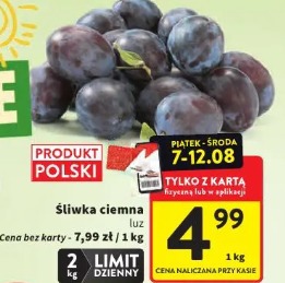 Śliwka ciemna 