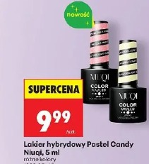 Lakier hybrydowy Pastel Candy Niuqi