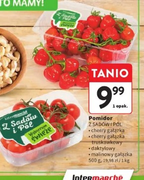 Pomidor Z SADÓW I PÓL
