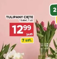 Tulipany cięte 7 szt.