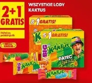 Wszystkie lody Kaktus