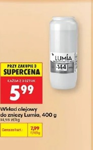 Lumia wkład olejowy do zniczy