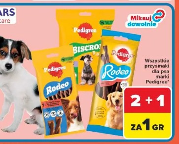 Wszystkie przysmaki dla psa marki Pedigree
