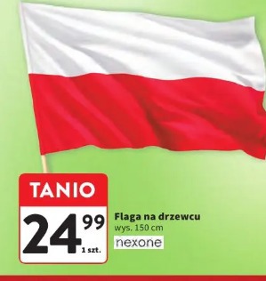 Flaga na drzewcu NEXONE