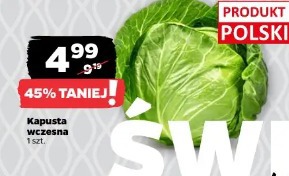 Kapusta wczesna