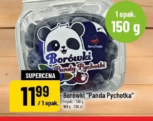 Borówki "Panda Pychotka"