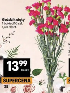Bukiet goździków