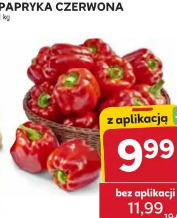 Papryka czerwona