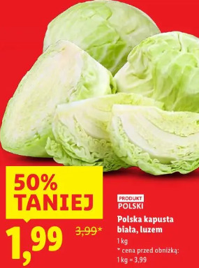 Polska kapusta biała