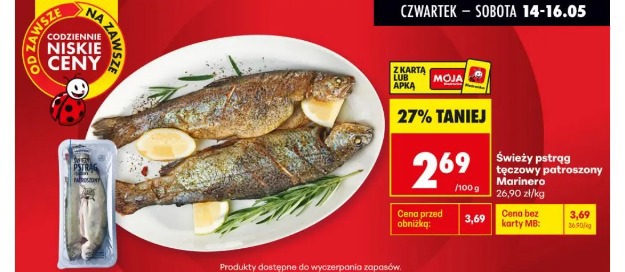 Świeży pstrąg tęczowy patroszony Marinero