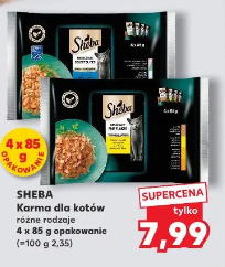 Sheba Karma dla kotów