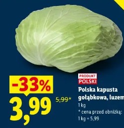 Polska kapusta gołąbkowa