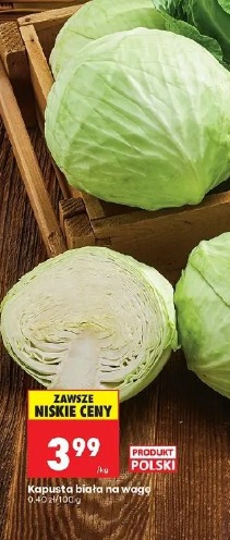 Kapusta biała