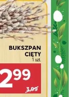 Bukszpan cięty