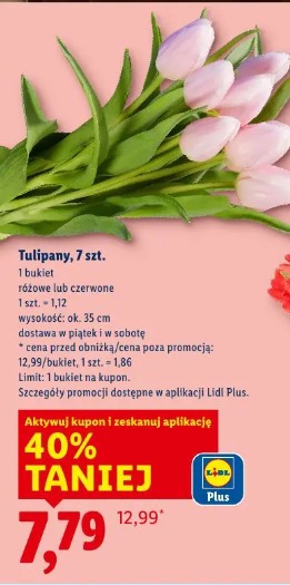 Tulipany, 7 szt.