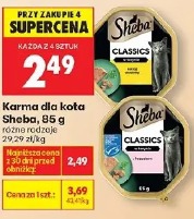 Karma dla kota Sheba