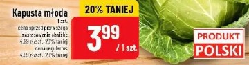 Kapusta młoda