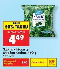 Szpinak liściasty Mroźna Kraina