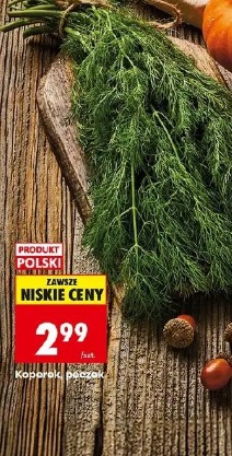 Koperek, pęczek