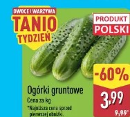 Ogórki gruntowe