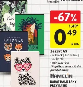 Zeszyt A5 Hamelin
