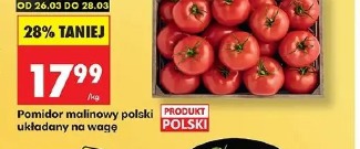Pomidor malinowy polski układany