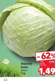 Kapusta biała
