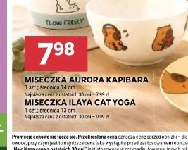 Miseczka Aurora Kapibara