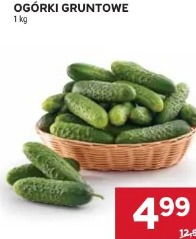 Ogórki gruntowe 1 kg