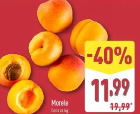 Morele 
