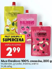 Mus Owolovo 100% owoców