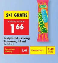 Lody Kaktus Long Polewka