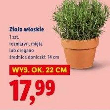 Zioła włoskie