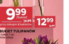 Bukiet tulipanów