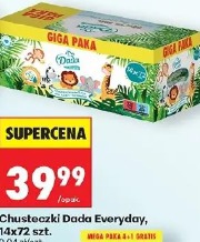 Dada Everyday chusteczki