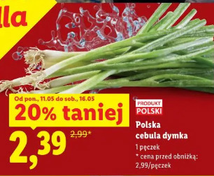 Polska cebula dymka