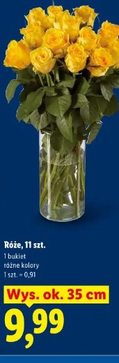 Róże, 11 szt.
