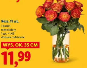 Róże, 11 szt.