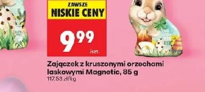 Zajączek z kruszonymi orzechami laskowymi Magnetic