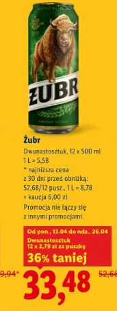 Żubr
