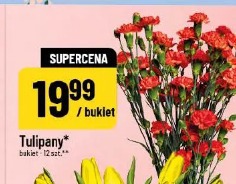 Tulipany