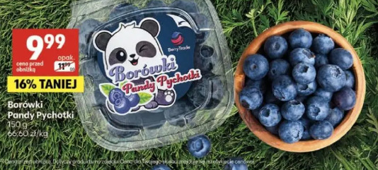 Borówki Pandy Pychotki