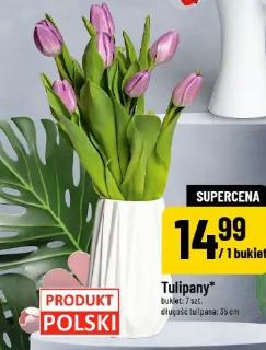 Tulipany