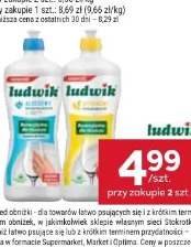 Płyn do naczyń Ludwik