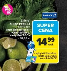 Liście Shiso Perilla