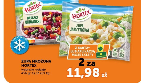 Zupa mrożona Hortex