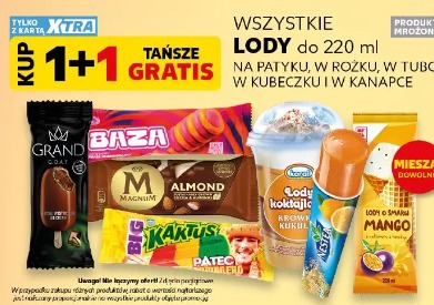 Lody do 220 ml