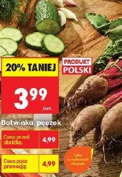 Botwinka, pęczek